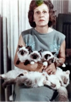 Ann Baker com filhotes de ragdoll